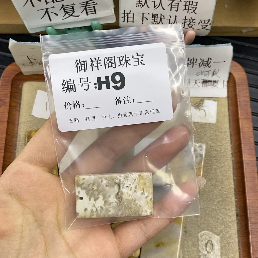 硅化珊瑚（珊瑚玉）未镶嵌颈饰没****态