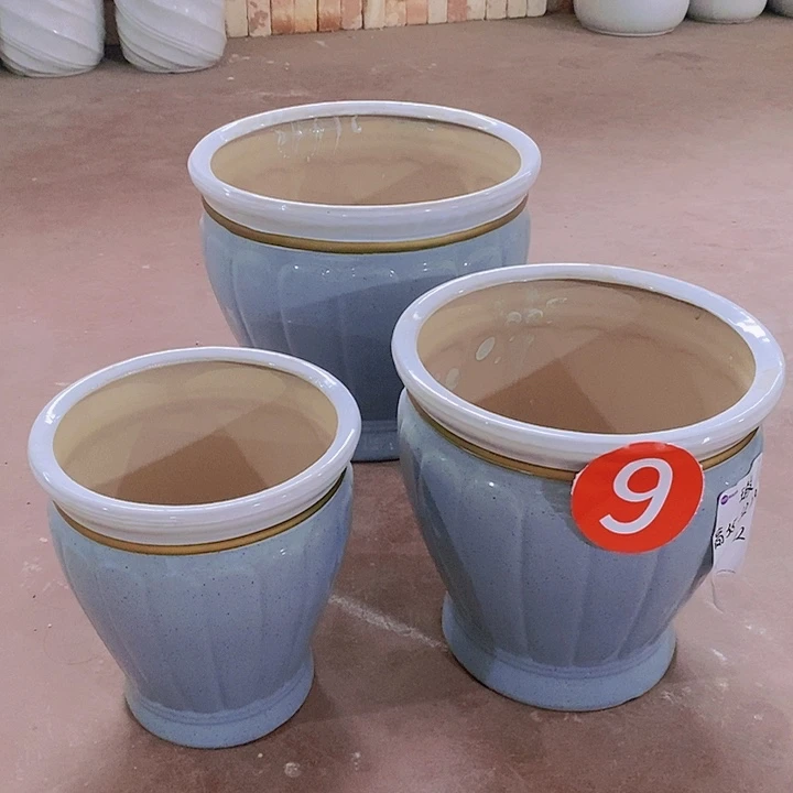 蓝色南瓜一套默认微瑕送一个小盆