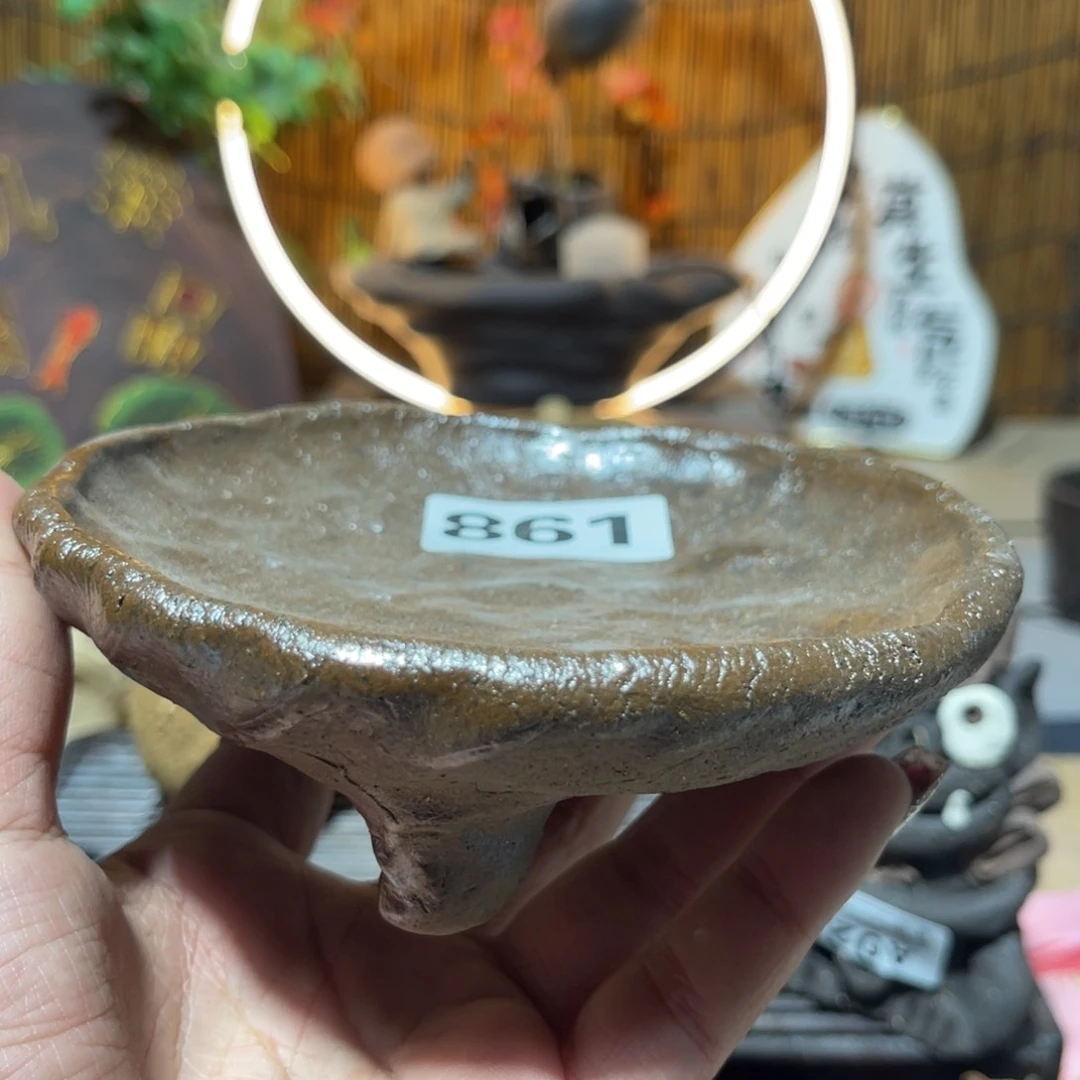 木村信弘柴烧保平