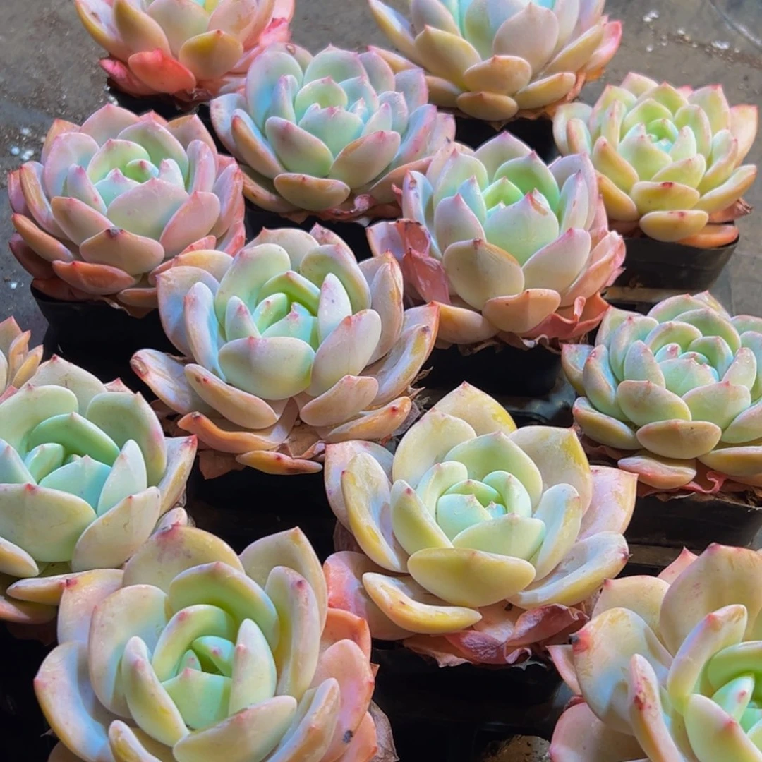 103点点滴滴的点点滴滴