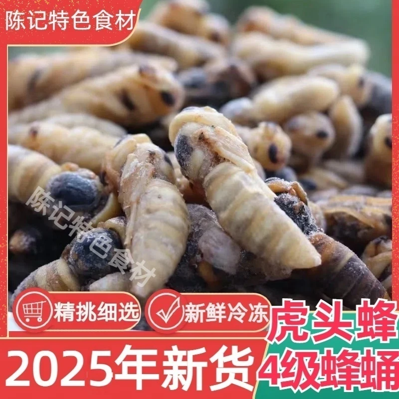 2025新货4级金环虎头蜂蜂蛹新鲜冷冻马蜂蛹黑无翅精选大土蜂蛹