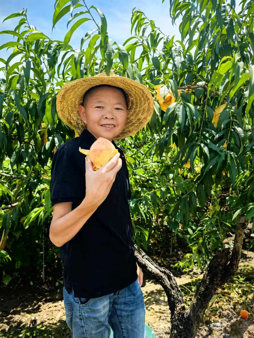 【单果3-4两】正宗奉化水蜜桃上市了 香甜可口 新鲜水果