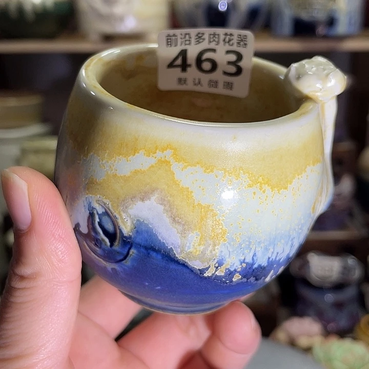 狼盆内口径5高度6