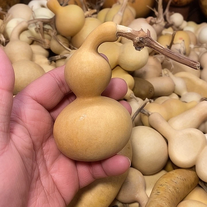 爱***谁精品葫芦手把葫芦19