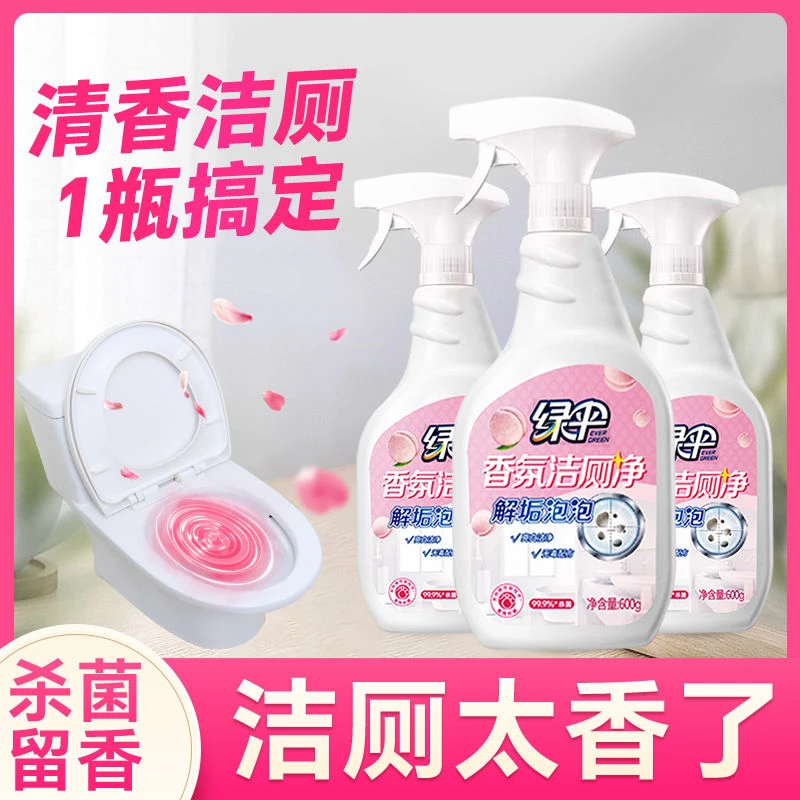 顽固污渍强力清洗剂马桶清洁剂去污除垢水垢洁厕剂（香型随机）