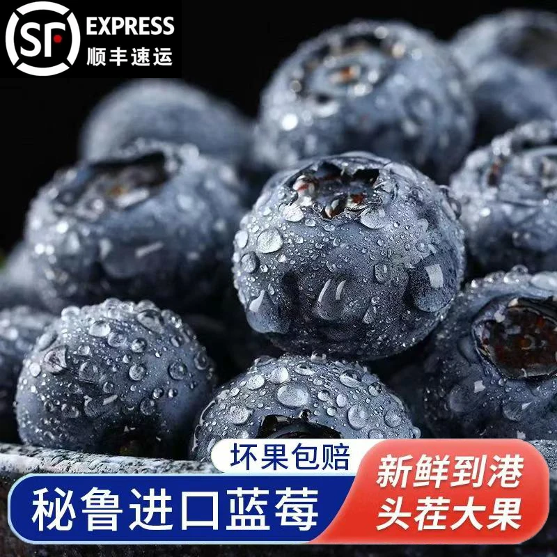【顺丰包邮】秘鲁进口蓝莓小蓝杯当季新鲜水果酸甜多汁礼盒装TH