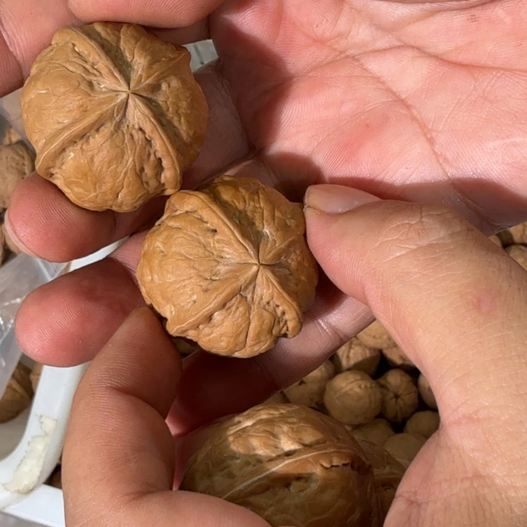 把件文玩核桃铁20玉火金砖四棱