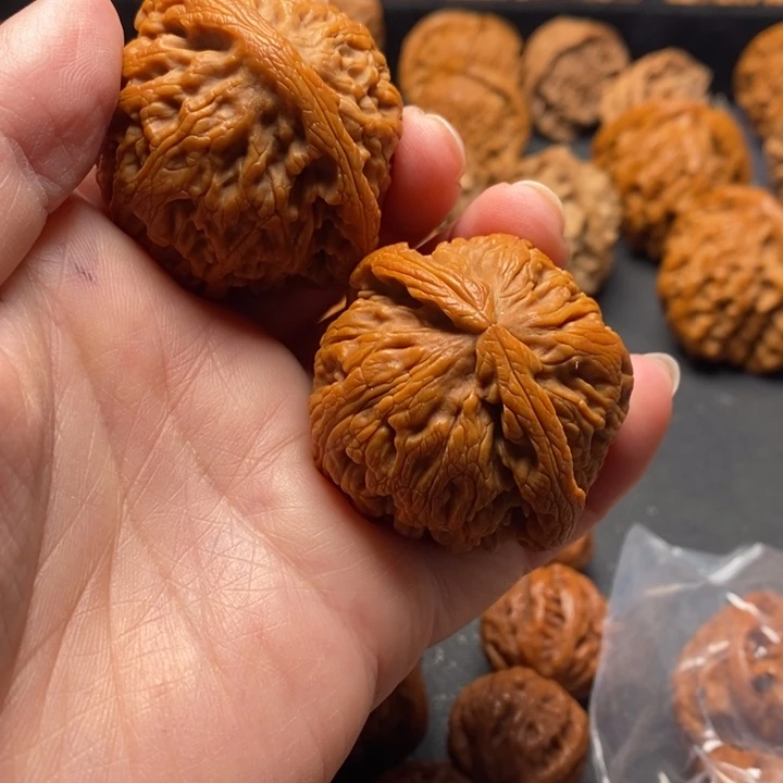 秦岭野生111111111