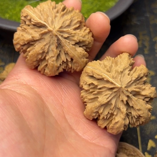 文玩核桃吊坠用****4秦岭核桃20