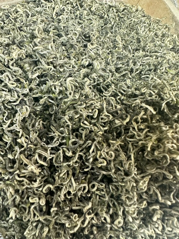 碧螺春栗香花香小芽单芽系列