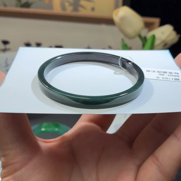 未镶嵌手镯翡翠绿乌鸡