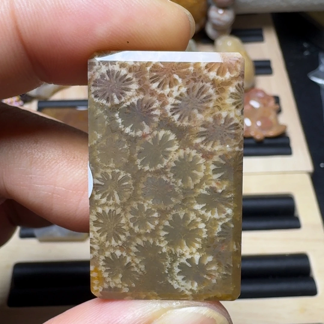 未镶嵌纯天然色有机玉石保真色硅化玉