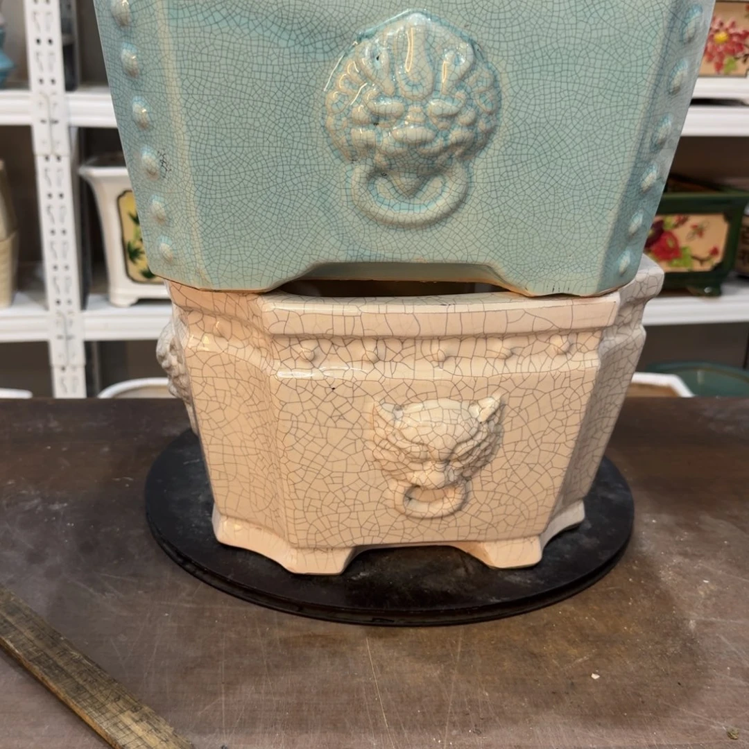 红陶大***.22222222222222