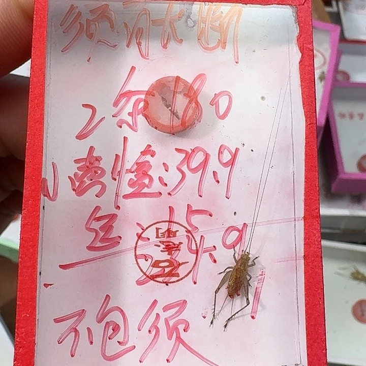 齐***强蟋蟀22222222222222222