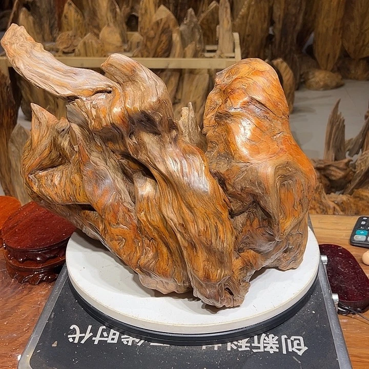 松木（琥珀木）阿*儿