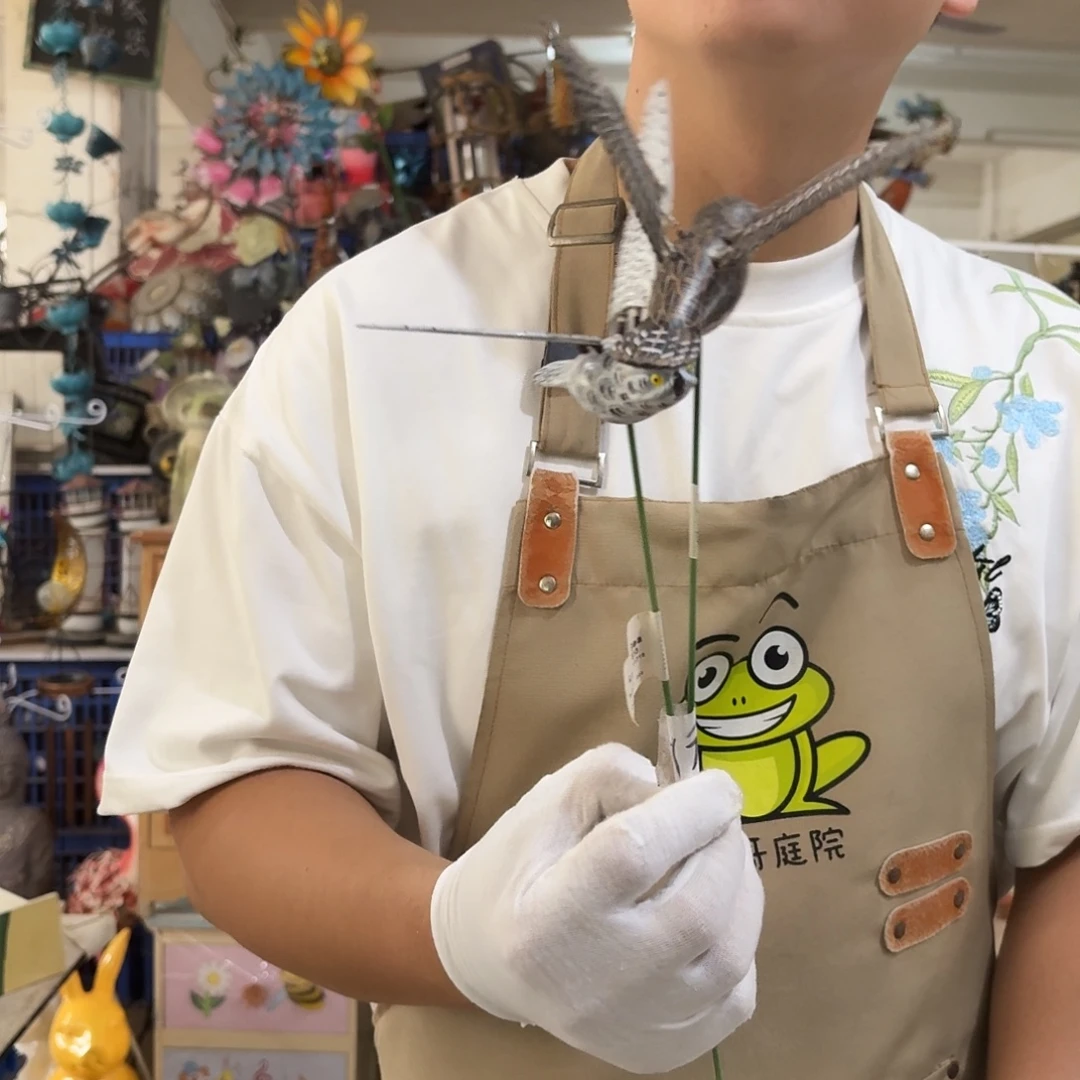 核桃木/黑胡桃（胡桃木）