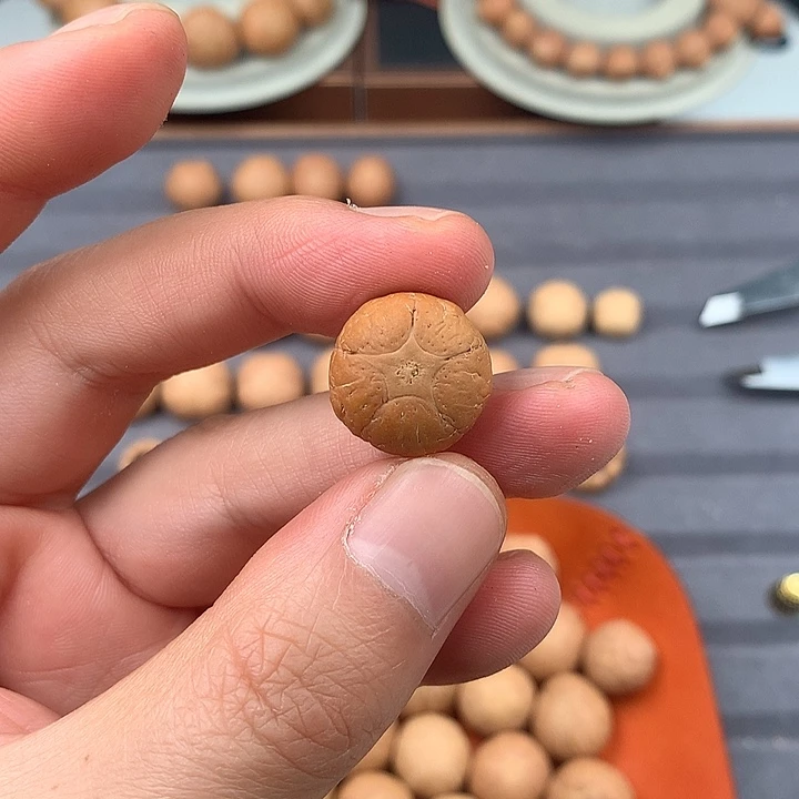 吊坠凤眼菩提皮质一般，17+五星，非质量问题开孔不退