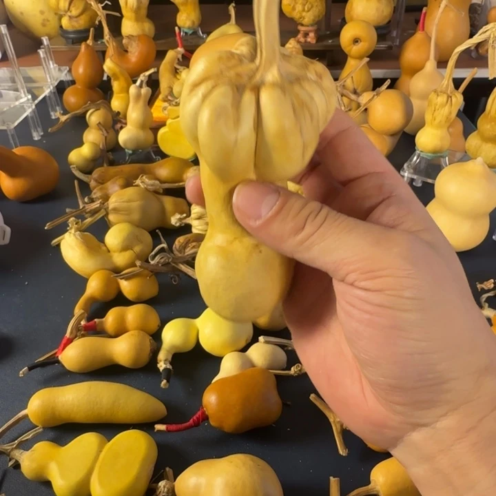 落****绒面对符合经济就变成h加快科技家家户户哈哈