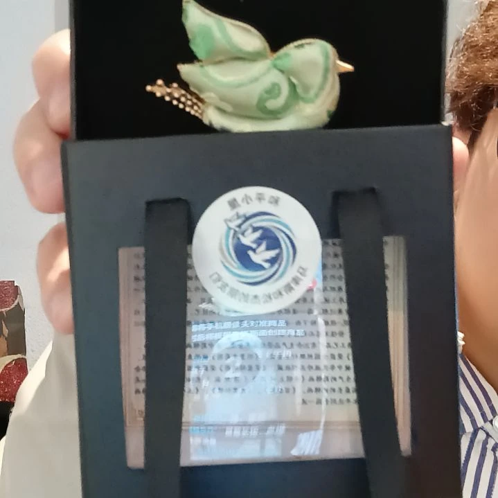 织绣和平鸽蜀锦 胸针