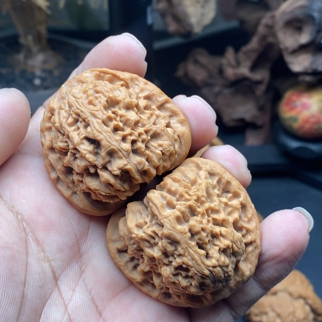 核桃南疆石……………………