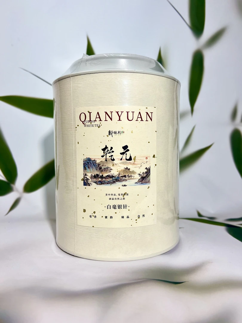 （乾元）2025年头春头采白毫银针普照山正宗福鼎白茶