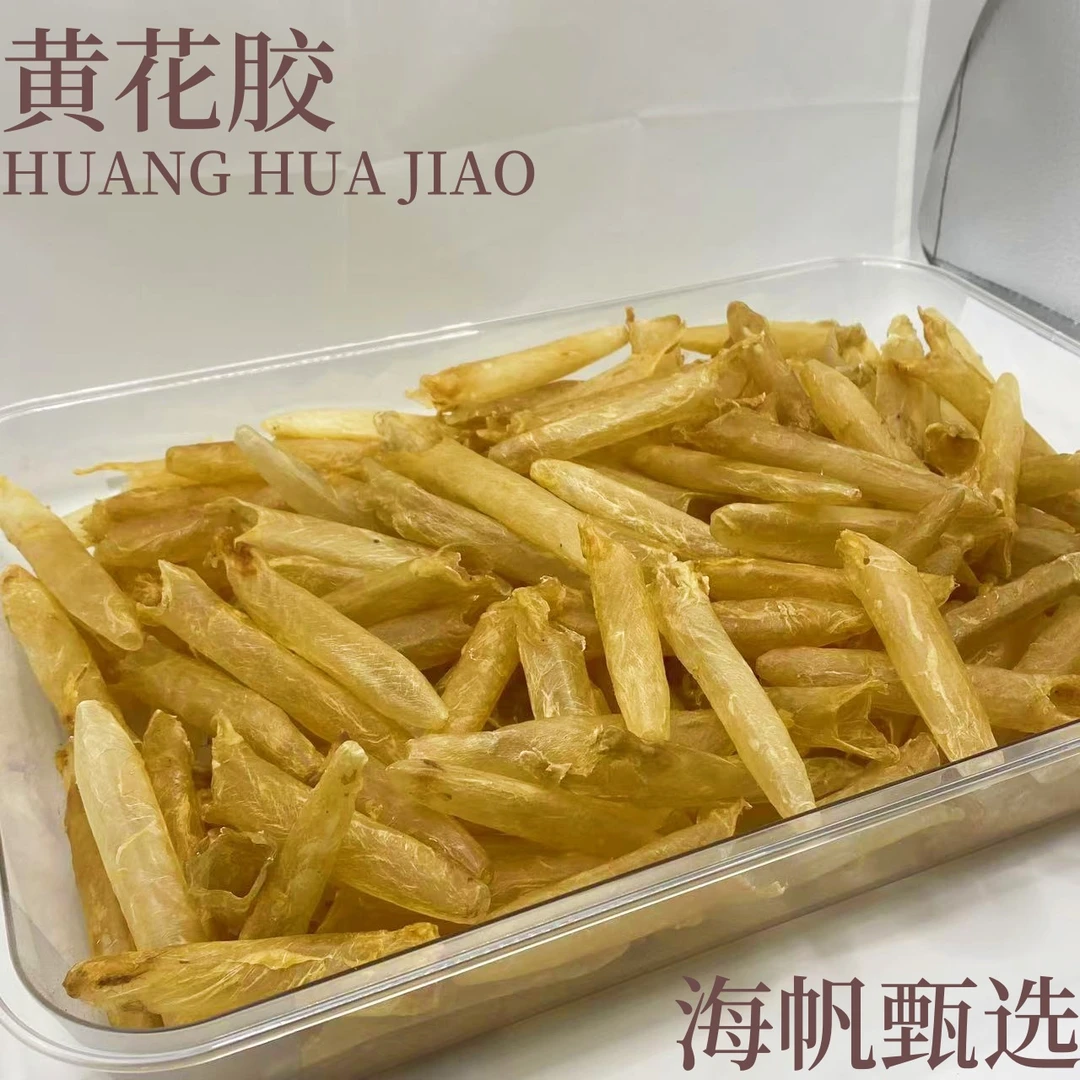 【海帆甄选】25头黄花胶 深海纯淡干纯天然无添加 条条出胶