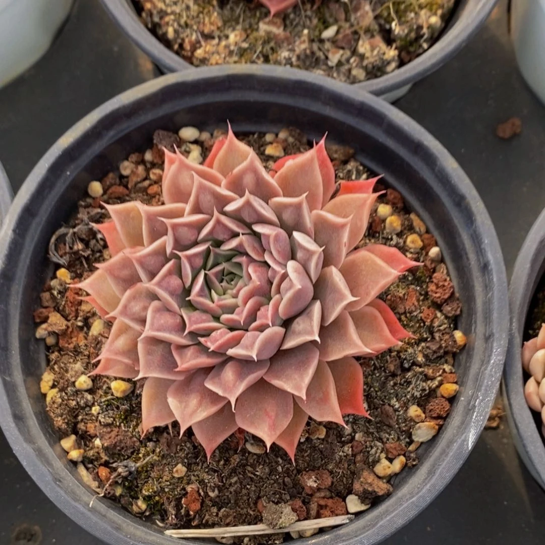 {****]723的人生态度就是这样