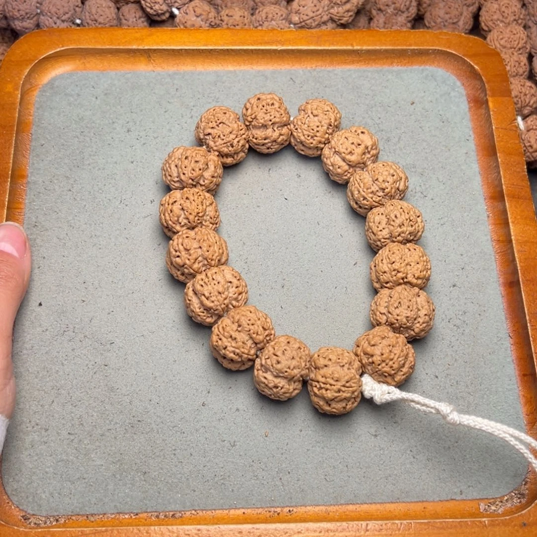 菩提33号金刚菩提梁梅花22