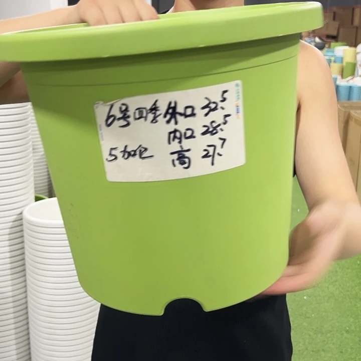特价6号口32高27.7白色7只无托