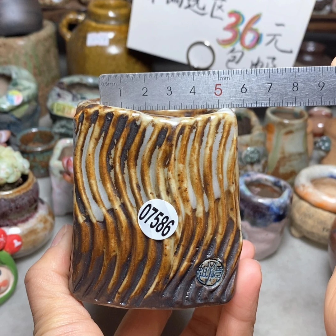 花盆拍3送一个小礼物