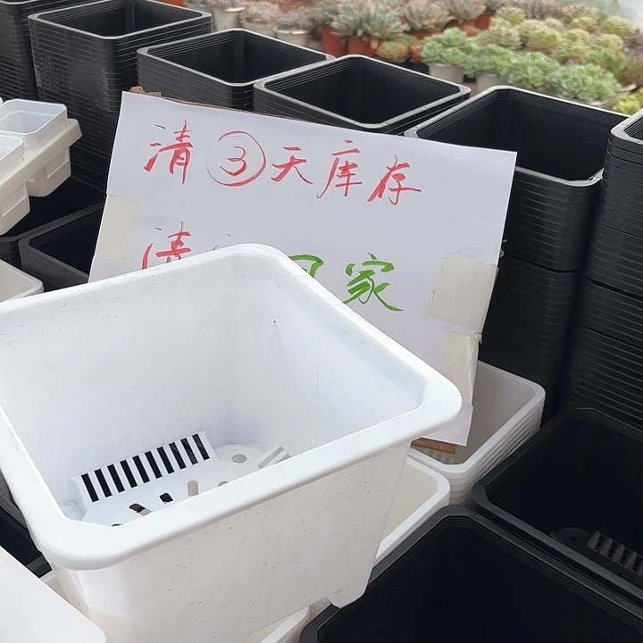 220白方盆10个口径21厘米高14厘米