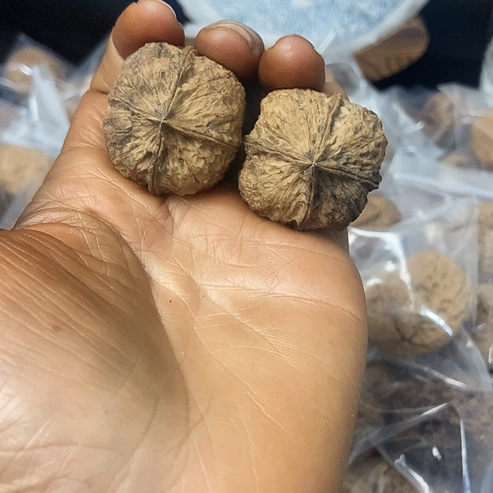 把件文玩核桃云南铁核桃基地37