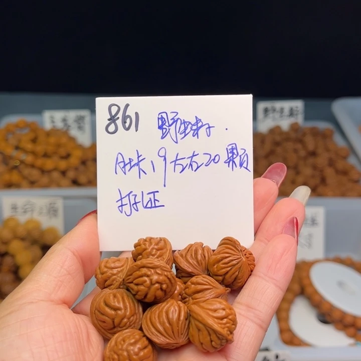 桃核把件野生籽19尺寸20颗