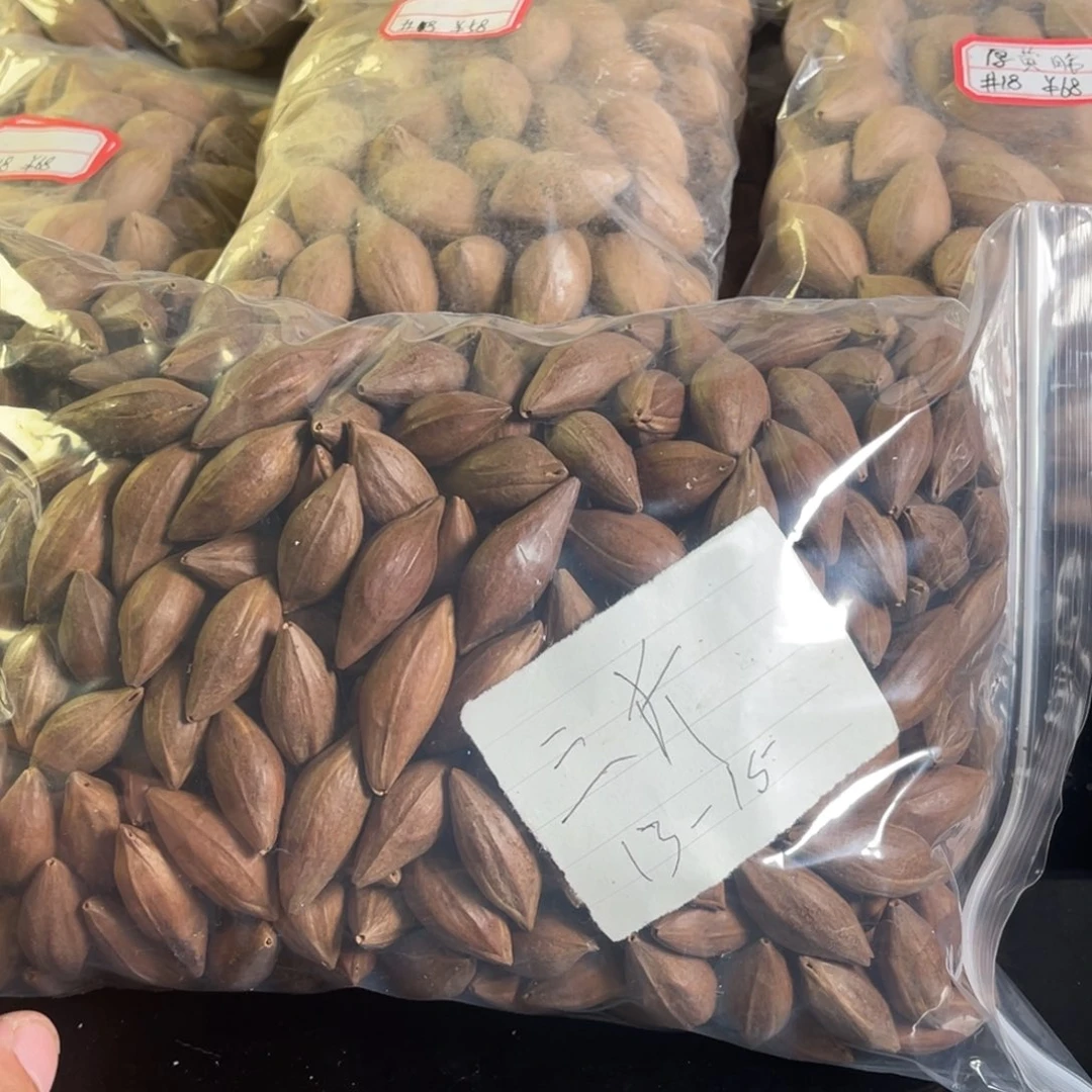 吊坠龙脊菩提潜*