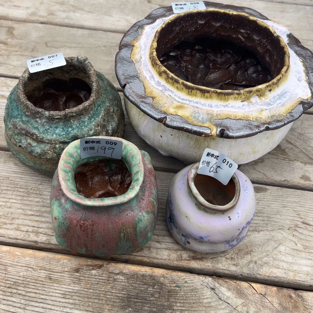 浅***灯1987新中式多肉盆07到10