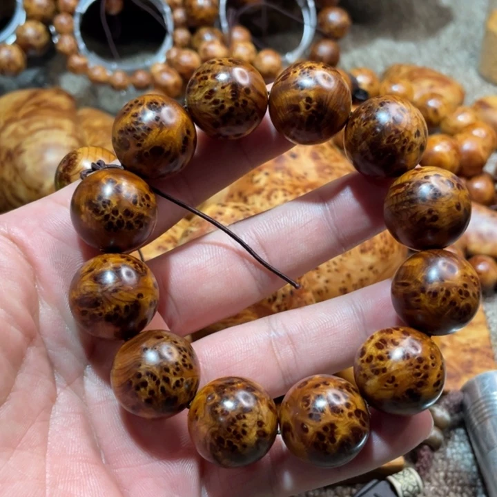 其他柏木（崖柏）2.0