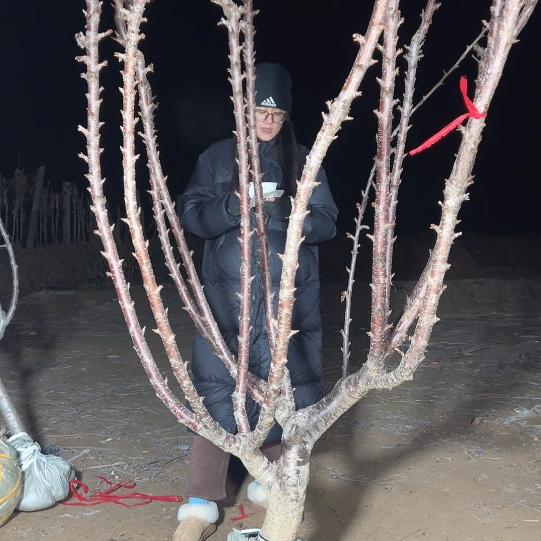 遠***╲河南直播间专拍直播间专拍