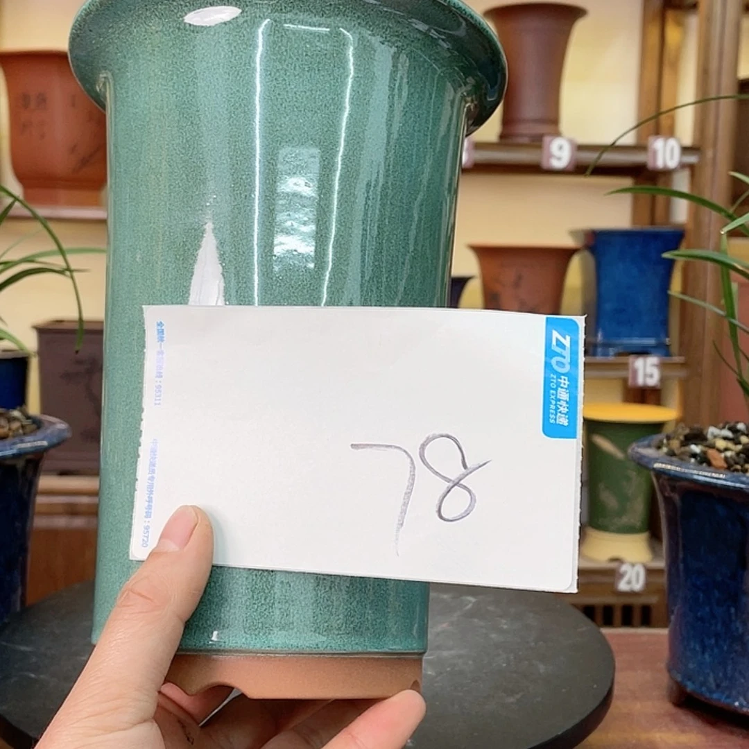 【闪购商品】紫砂花盆东*兰花425854856885755588