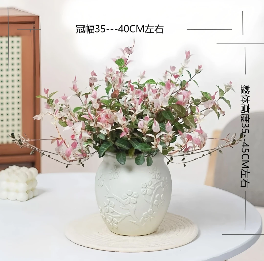六哥花叶络石盆栽室内四季五彩花卉耐热耐寒好养绿植