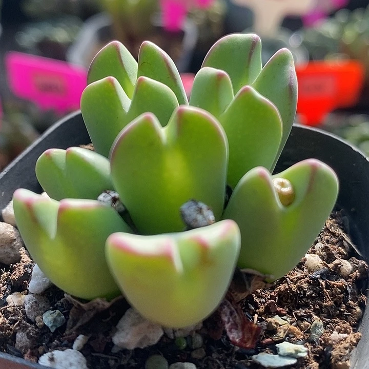 在家待几分钟在说了嘛好4022