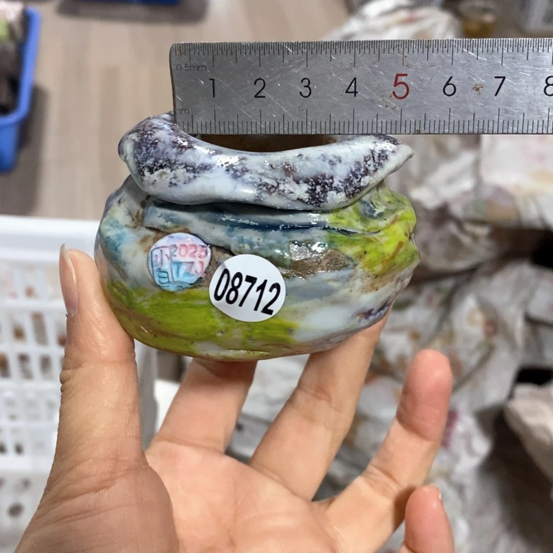 花盆拍5送一个小礼物