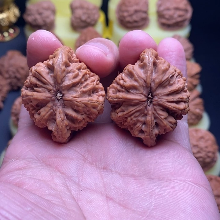 把件文玩核桃波**茶41尺昌平虎头王