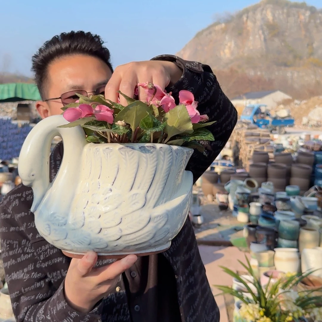 紫砂花盆鹅白色一个一个