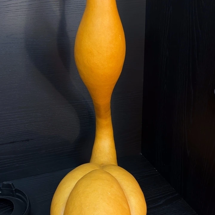 詹***盖11111111111111111