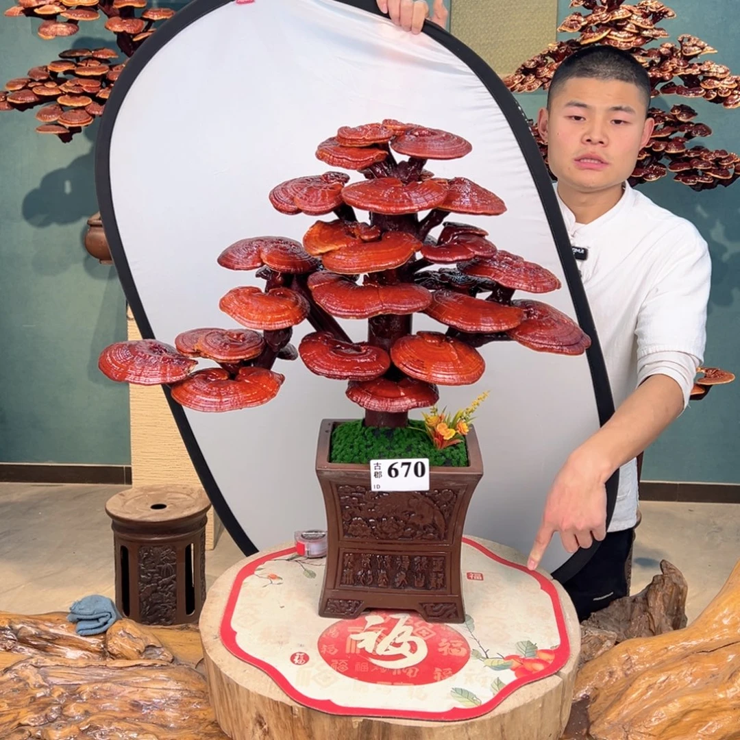 无花朵888888888888