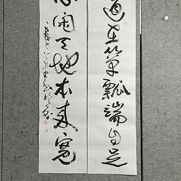 书法宋秉民。四尺对开。心闲天地本来宽