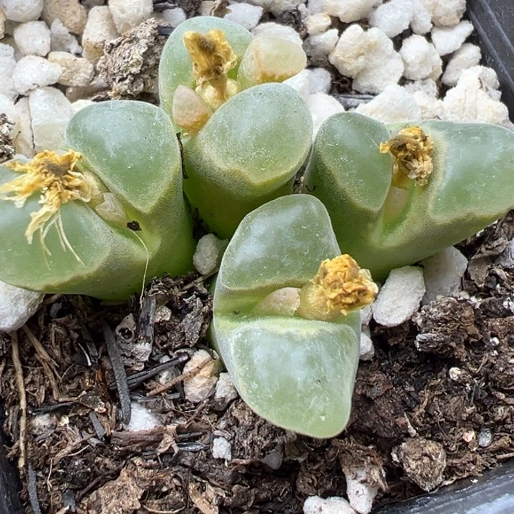 646好爽11福利不代表平时价格