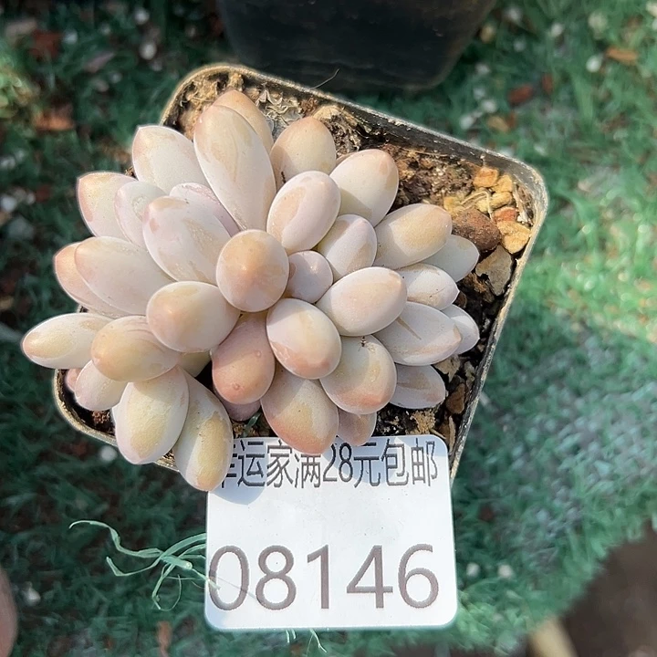 幸运的是我没有遇到过这么