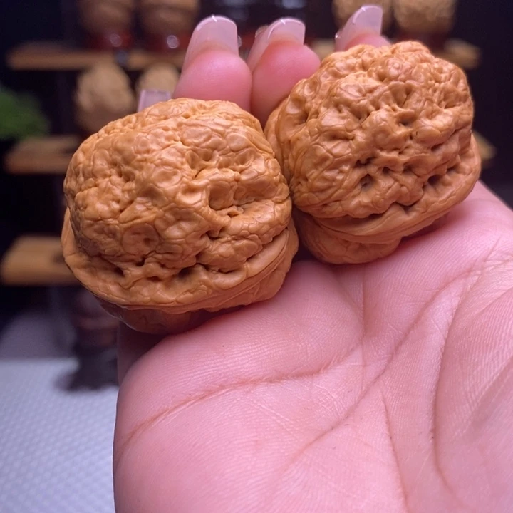 木质类云铁帝王蟾45号40尺