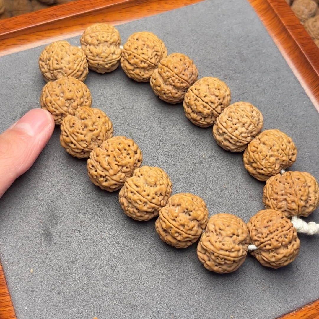 菩提7号尼泊尔大金刚22六瓣梅花蜂窝梁